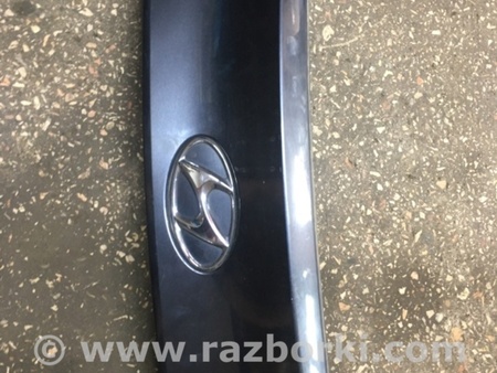ФОТО Накладка крышки багажника задняя для Hyundai ix35 I LM/EL Tucson (10-17) Київ