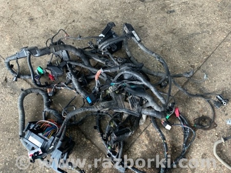 ФОТО Проводка для KIA Sorento 2 XM (09-14) Київ