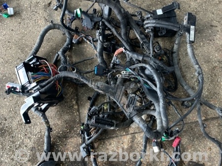 ФОТО Проводка для KIA Sorento 2 XM (09-14) Київ