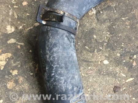 ФОТО Патрубок радиатора для Subaru Outback V BS (14-21) Київ