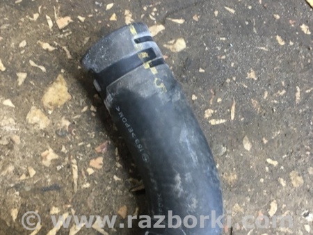 ФОТО Патрубок радиатора для Subaru Outback V BS (14-21) Київ