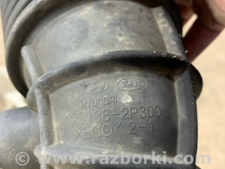 ФОТО Патрубок для KIA Sorento 2 XM (09-14) Київ