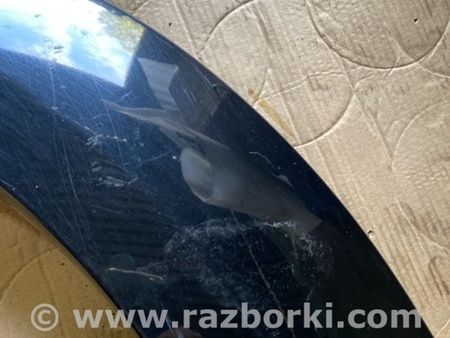 ФОТО Молдинг на дверь задний левый для KIA Sorento 1 BL (02-09) Київ