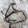 ФОТО Проводка для Subaru Forester SG Киев