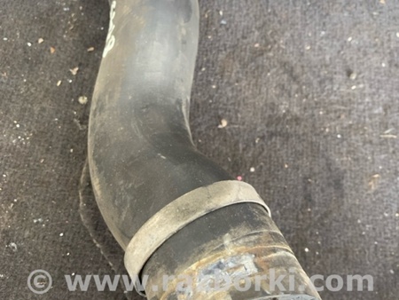 ФОТО Патрубок интеркулера для KIA Sorento 2 XM (09-14) Київ