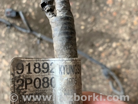 ФОТО Проводка для KIA Sorento 2 XM (09-14) Київ