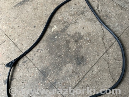 ФОТО Уплотнительная резинка передняя правая для KIA Sorento 2 XM (09-14) Київ