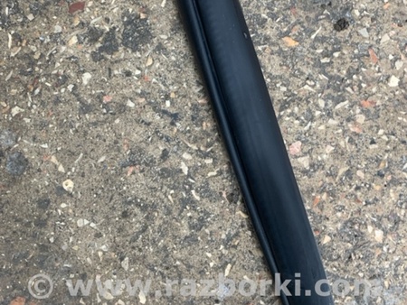 ФОТО Уплотнительная резинка задняя левая для KIA Sorento 2 XM (09-14) Київ
