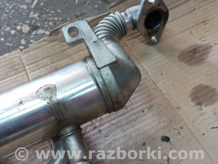 ФОТО Охладитель для KIA Sorento 1 BL (02-09) Київ