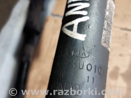 ФОТО Амортизатор задний для KIA Sportage SL (10-16) Київ