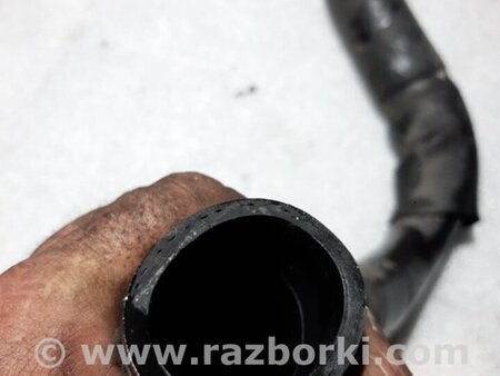 ФОТО Патрубок радиатора для KIA Sportage SL (10-16) Київ