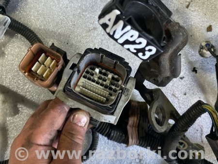 ФОТО Проводка для Subaru Legacy IV BL/BP (03-09) Київ