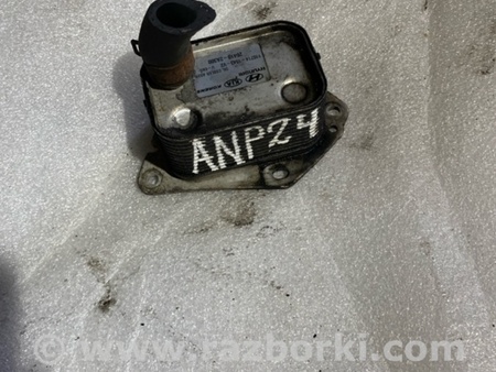 ФОТО Радиатор масляный для KIA Sportage SL (10-16) Київ