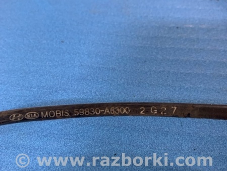 ФОТО Датчик abs передний правый для KIA Ceed 2 JD (12-18) Київ