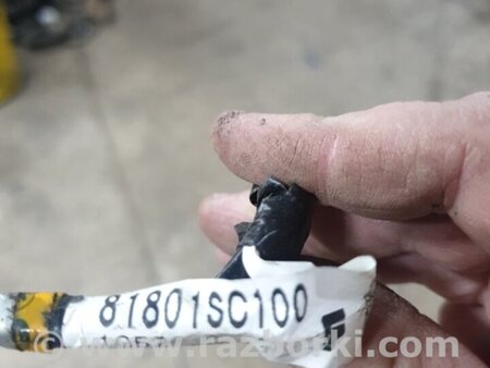 ФОТО Проводка для Subaru Forester SG Киев