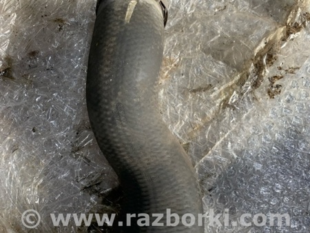 ФОТО Патрубок интеркулера для KIA Ceed 2 JD (12-18) Київ