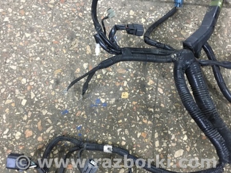 ФОТО Проводка для Subaru Outback Киев