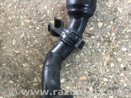 ФОТО Горловина масла для Subaru Outback Киев