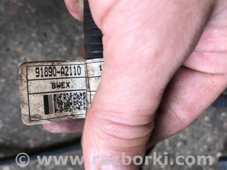 ФОТО Проводка задняя для KIA Ceed 2 JD (12-18) Київ