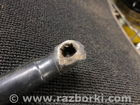 ФОТО Амортизатор багажника задний левый для KIA Sorento 1 BL (02-09) Київ