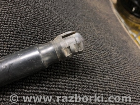 ФОТО Амортизатор багажника задний левый для KIA Sorento 1 BL (02-09) Київ