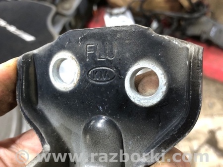 ФОТО Петля двери для KIA Sorento 1 BL (02-09) Київ