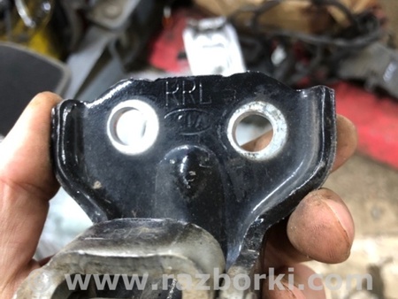 ФОТО Петля двери для KIA Sorento 1 BL (02-09) Київ
