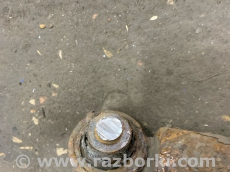 ФОТО Амортизатор задний для Hyundai ix35 I LM/EL Tucson (10-17) Київ