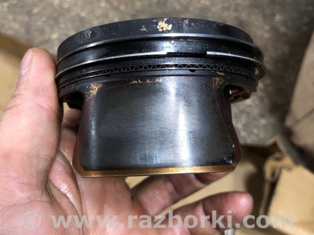 ФОТО Поршень для Audi (Ауди) A4 V B9 - 8W (2015-) Київ