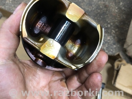 ФОТО Поршень для Audi (Ауди) A4 V B9 - 8W (2015-) Київ