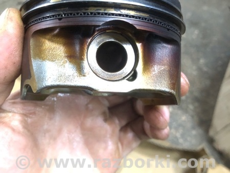 ФОТО Поршень для Audi (Ауди) A4 V B9 - 8W (2015-) Київ