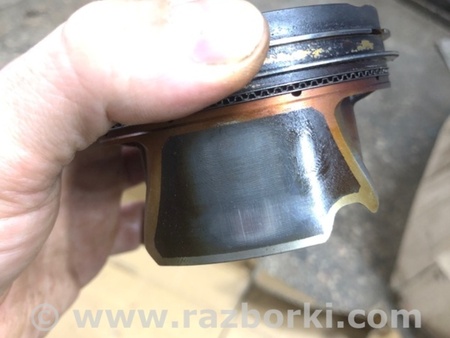 ФОТО Поршень для Audi (Ауди) A4 V B9 - 8W (2015-) Київ