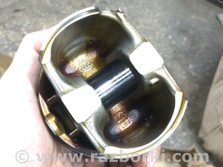 ФОТО Поршень для Audi (Ауди) A4 V B9 - 8W (2015-) Київ