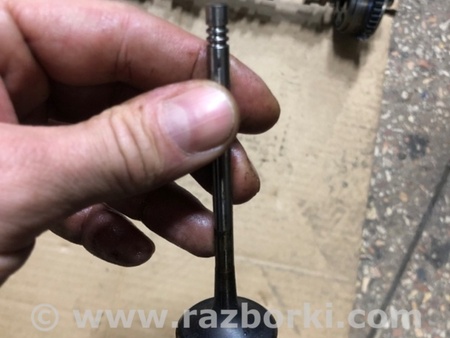 ФОТО Клапан впускной для Audi (Ауди) A4 V B9 - 8W (2015-) Київ