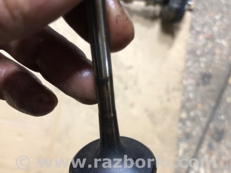 ФОТО Клапан впускной для Audi (Ауди) A4 V B9 - 8W (2015-) Київ