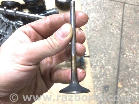 ФОТО Клапан впускной для Audi (Ауди) A4 V B9 - 8W (2015-) Київ