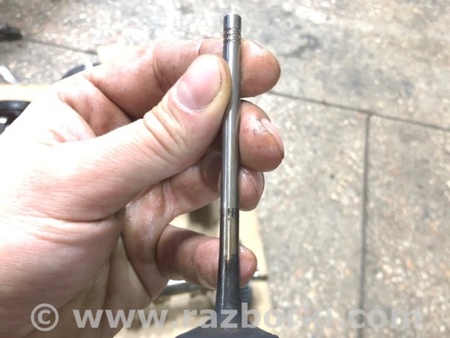 ФОТО Клапан впускной для Audi (Ауди) A4 V B9 - 8W (2015-) Київ