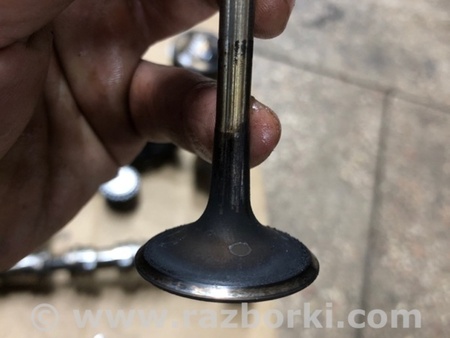 ФОТО Клапан впускной для Audi (Ауди) A4 V B9 - 8W (2015-) Київ