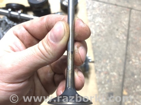 ФОТО Клапан впускной для Audi (Ауди) A4 V B9 - 8W (2015-) Київ