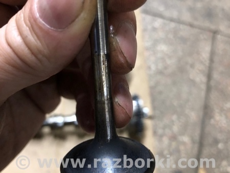 ФОТО Клапан впускной для Audi (Ауди) A4 V B9 - 8W (2015-) Київ