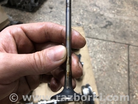 ФОТО Клапан впускной для Audi (Ауди) A4 V B9 - 8W (2015-) Київ