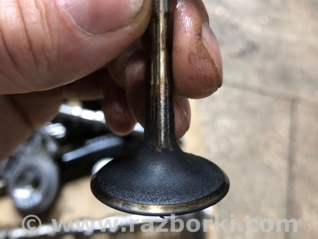 ФОТО Клапан впускной для Audi (Ауди) A4 V B9 - 8W (2015-) Київ