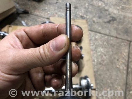 ФОТО Клапан впускной для Audi (Ауди) A4 V B9 - 8W (2015-) Київ