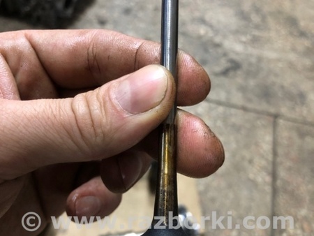 ФОТО Клапан впускной для Audi (Ауди) A4 V B9 - 8W (2015-) Київ