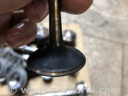 ФОТО Клапан впускной для Audi (Ауди) A4 V B9 - 8W (2015-) Київ