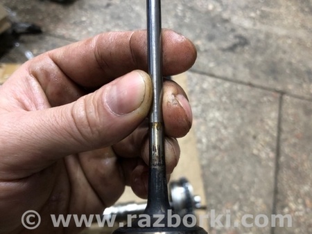 ФОТО Клапан впускной для Audi (Ауди) A4 V B9 - 8W (2015-) Київ