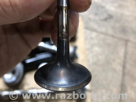 ФОТО Клапан впускной для Audi (Ауди) A4 V B9 - 8W (2015-) Київ