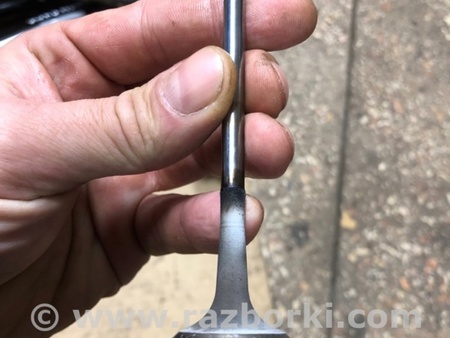 ФОТО Клапан выпускной для Audi (Ауди) A4 V B9 - 8W (2015-) Київ