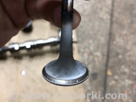 ФОТО Клапан выпускной для Audi (Ауди) A4 V B9 - 8W (2015-) Київ