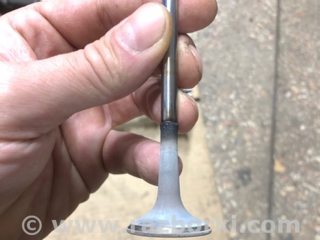 ФОТО Клапан выпускной для Audi (Ауди) A4 V B9 - 8W (2015-) Київ